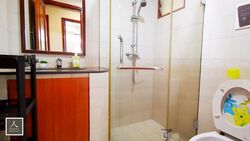 Tropical Spring (D18), Condominium #481311011